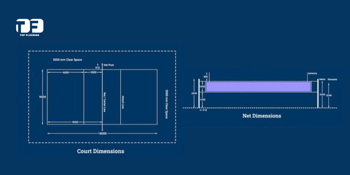 Volleyball Court Dimensions