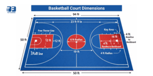 Basketball Court Dimensions