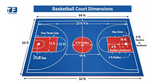 Basketball Court Dimensions