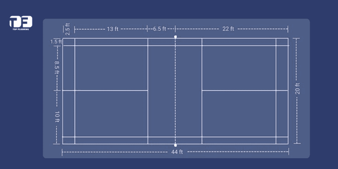 Shuttle Court Measurement